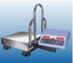 Industrial Counting Scale