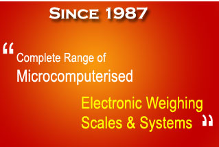 Electronic Weighing Scale & System