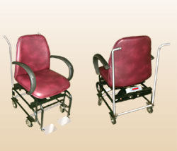 Wheel Chair Scale