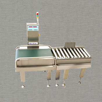 Check Weighing Systems