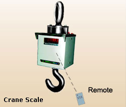 Crane Hook Weighing Scale
