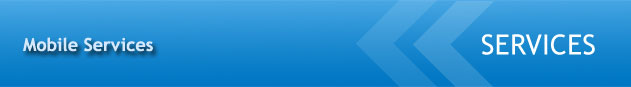 Weighing Systems Mobile Services