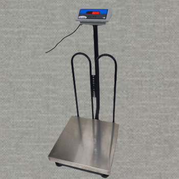 Platform Scale Model